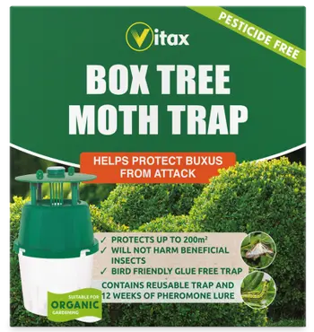Box Tree Moth Trap (1 Trap)