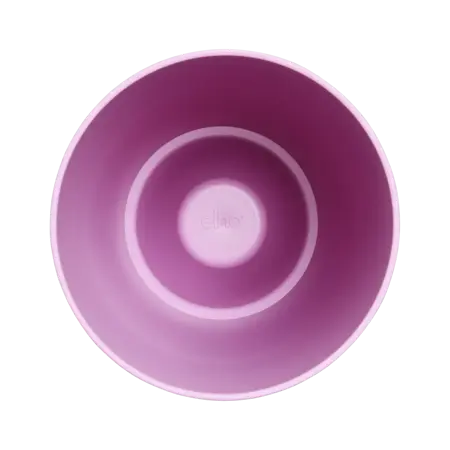 Brussels Orchid High Vivid Violet 12.5cm - image 2