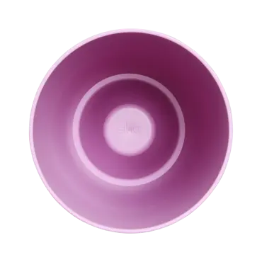 Brussels Orchid High Vivid Violet 12.5cm - image 2