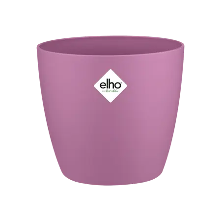 Brussels Round Mini Vivid Violet 7cm - image 1