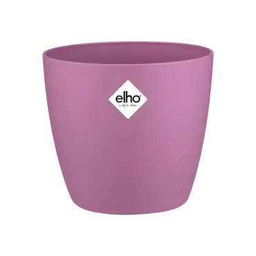 Brussels Round Mini Vivid Violet 7cm - image 1