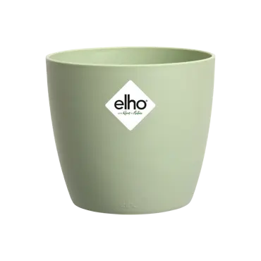 Brussels Round Sorbet Green 16cm