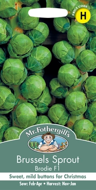Brussels Sprout Brodie F1 - image 1