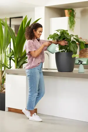 Brussels Watering Can 1.8ltr - image 2