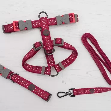 Burgundy Polka Walkabout Dog Collar - Medium (31cm-47cm)