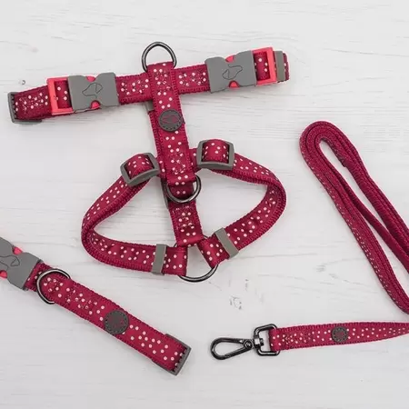 Burgundy Polka Walkabout Dog Collar - Small ( 23cm-36cm)