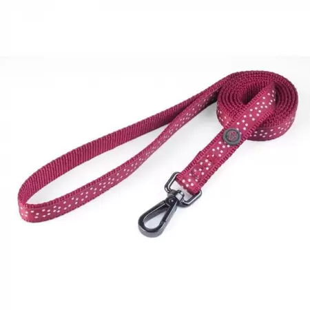 Burgundy Polka Walkabout Dog lead - Standard 