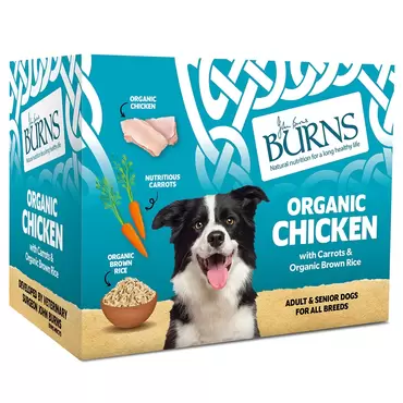 Burns Chicken Pk 395gx6