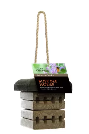 busy bee house