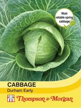 Cabbage Durham Early