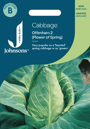 Cabbage Offenham 2 (Flower Of Spring) - image 1