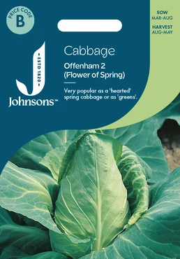 Cabbage Offenham 2 (Flower Of Spring)
