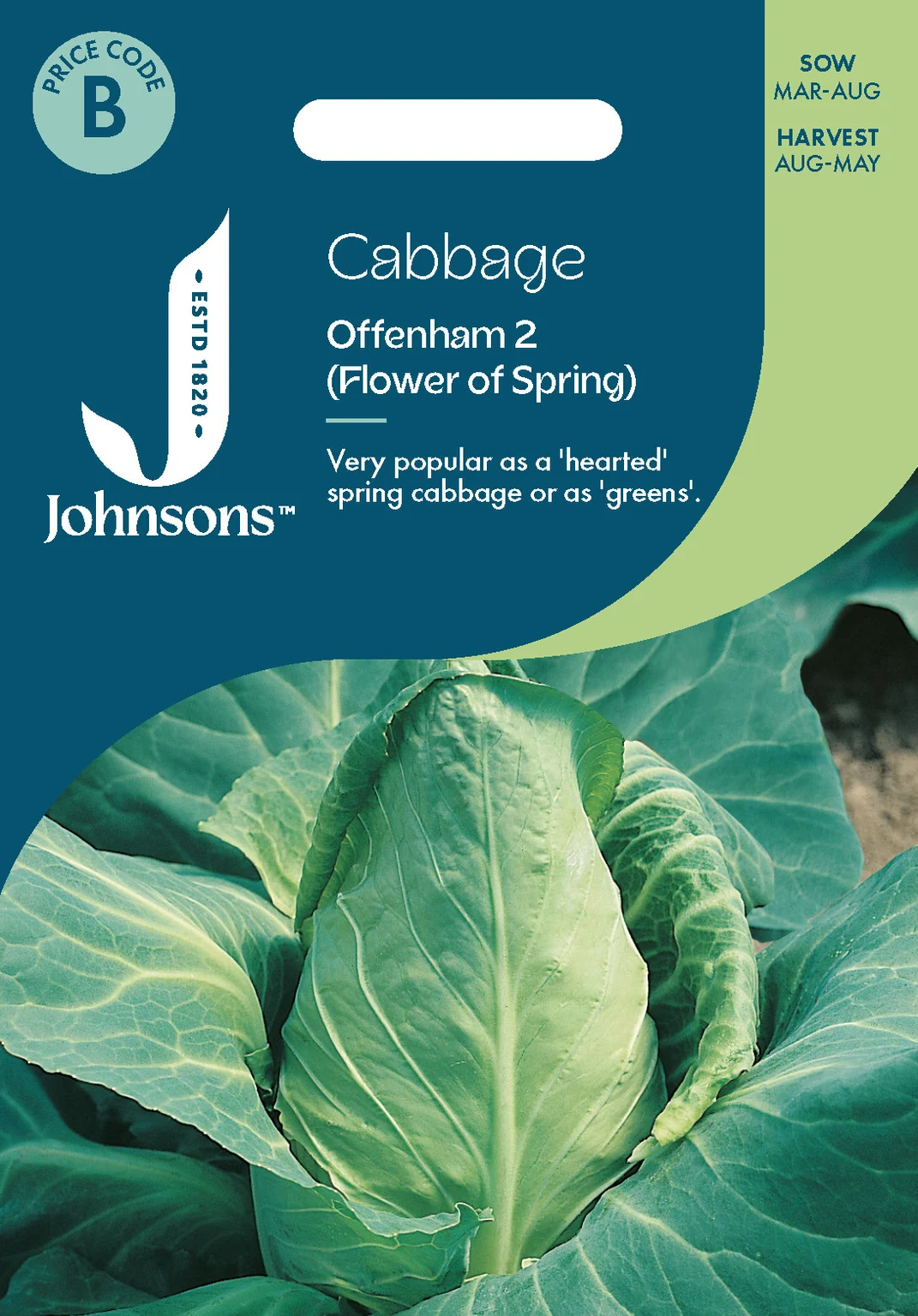 Cabbage Offenham 2 (Flower Of Spring) - Hanleys of Cork