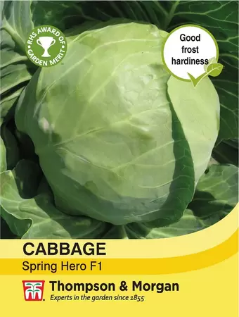 Cabbage Spring Hero F1 Hybrid