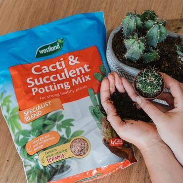 Cacti & Succulent Potting Mix - image 3