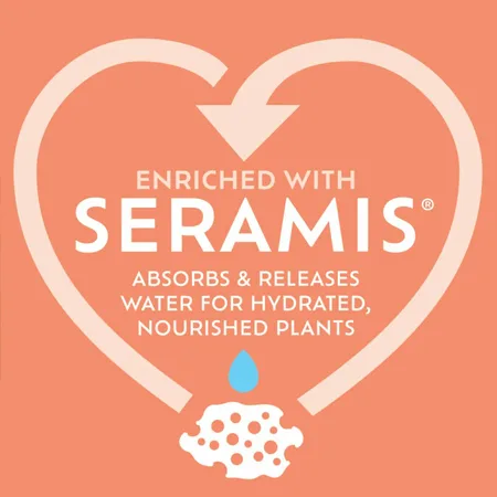 Cacti & Succulent Potting Mix - image 3