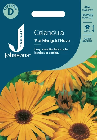 Calendula Pot Marigold Nova - image 1