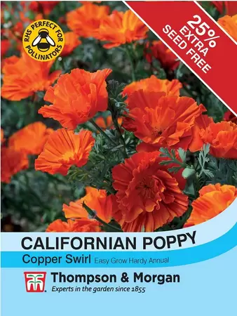 Californian Poppy Copper Swirl