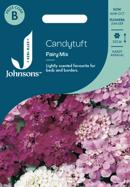 Candytuft Fairy Mix