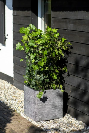 Capi Anthracite Nature Rib NL Square Planter 125L - image 2