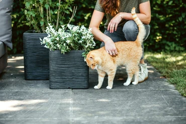 Capi Black Nature Rib NL Square Planter 22L - image 3