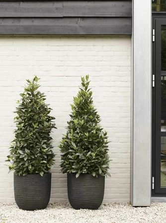 Capi Black Planter Ball Row NL 35x34 cm - image 2