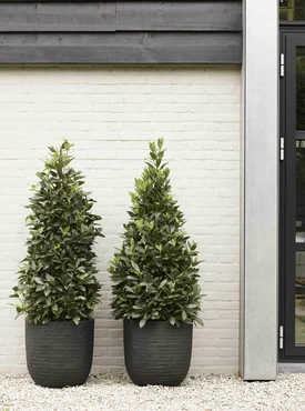 Capi Black Planter Ball Row NL 35x34 cm - image 2