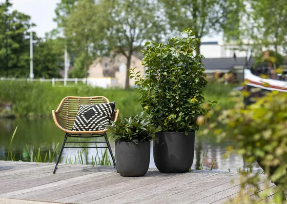 Capi Black Urban Smooth NL Egg Planter 113L - image 3