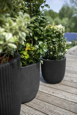 Capi Black Urban Smooth NL Egg Planter 113L - image 4