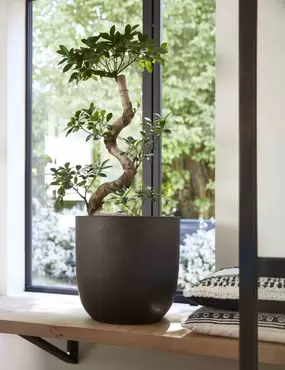 Capi Black Urban Smooth NL Egg Planter 25L - image 2