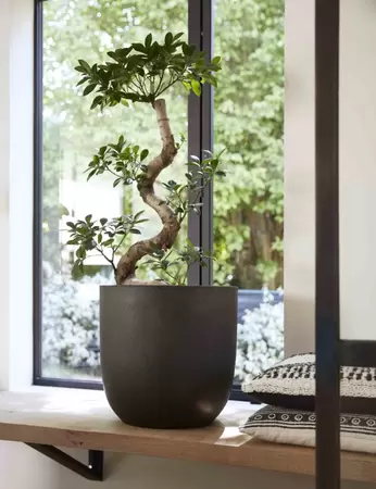 Capi Black Urban Smooth NL Egg Planter 50L - image 2