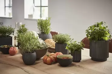 Capi Nature Groove Ball Planter 1.4L - image 2