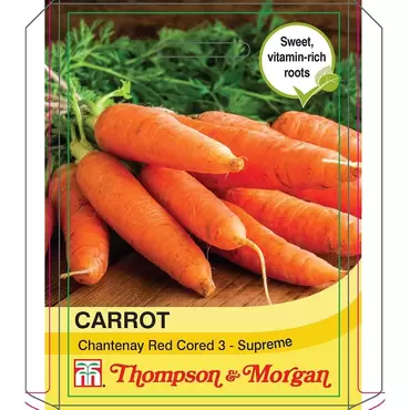 Carrot Chantenay Red Cored 3 - Supreme