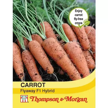 Carrot Fly Away F1 Hybrid