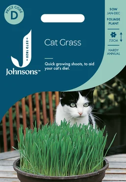 Cat Grass - Avena Sativa