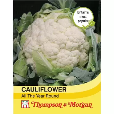 Cauliflower All The Year Round