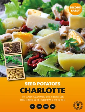Charlotte Seed Potato 2kg