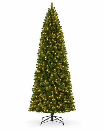 Charlton Outdoor Tree 12ft/370cm - image 1
