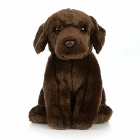 Chocolate Labrador 20cm