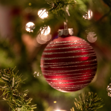 Christmas Decor 26'