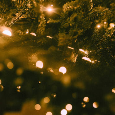 Christmas Lights 26'