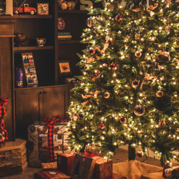 Christmas Trees 26'