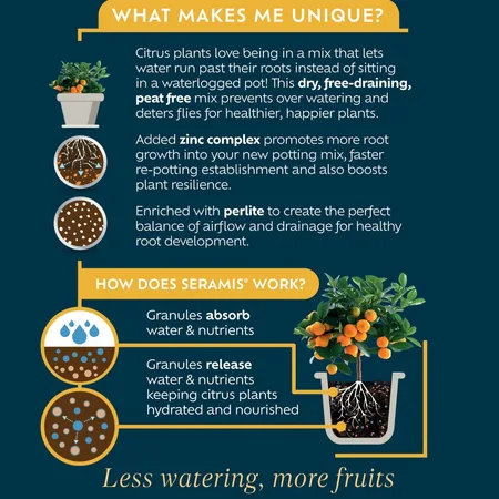 Cirrus Potting Mix - image 2