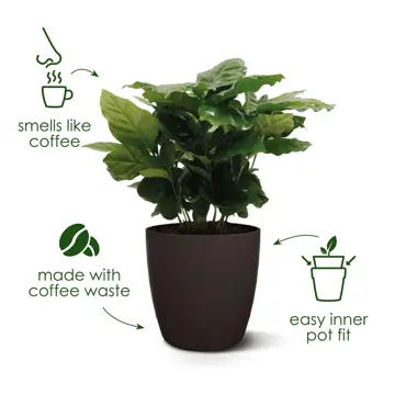 Coffee Collection Round 16cm - image 5