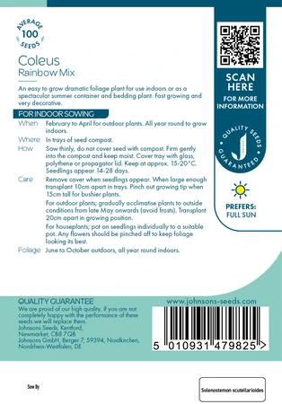 Coleus Rainbow Mix - image 2