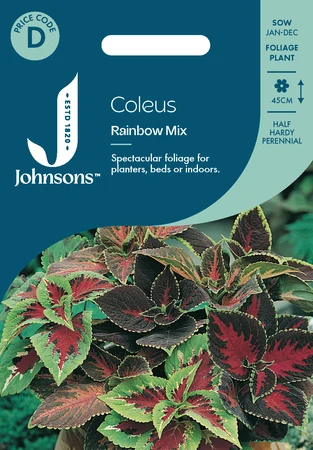 Coleus Rainbow Mix - image 1