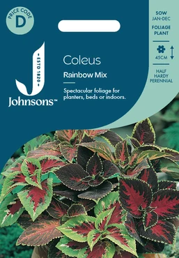 Coleus Rainbow Mix
