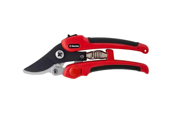 Compound Action Pruner - image 1