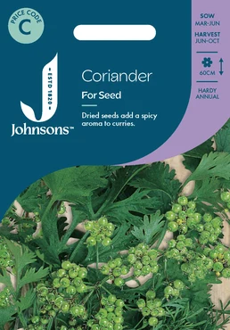 Coriander For Seed