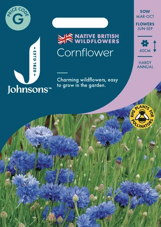 Cornflower - image 1